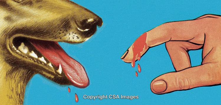 Illustration of a Dog Licking Blood from a Finger with a Colorful Background