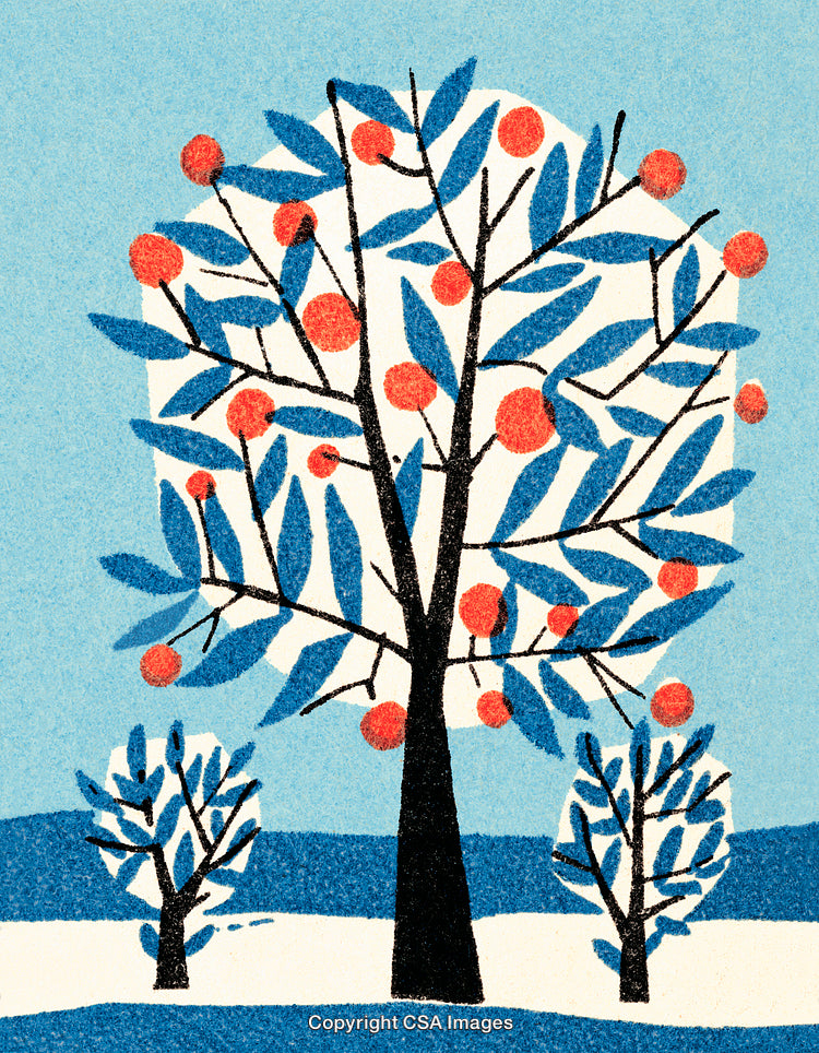 Stylized Illustration of a Fruitful Tree in a Calm Outdoor Setting