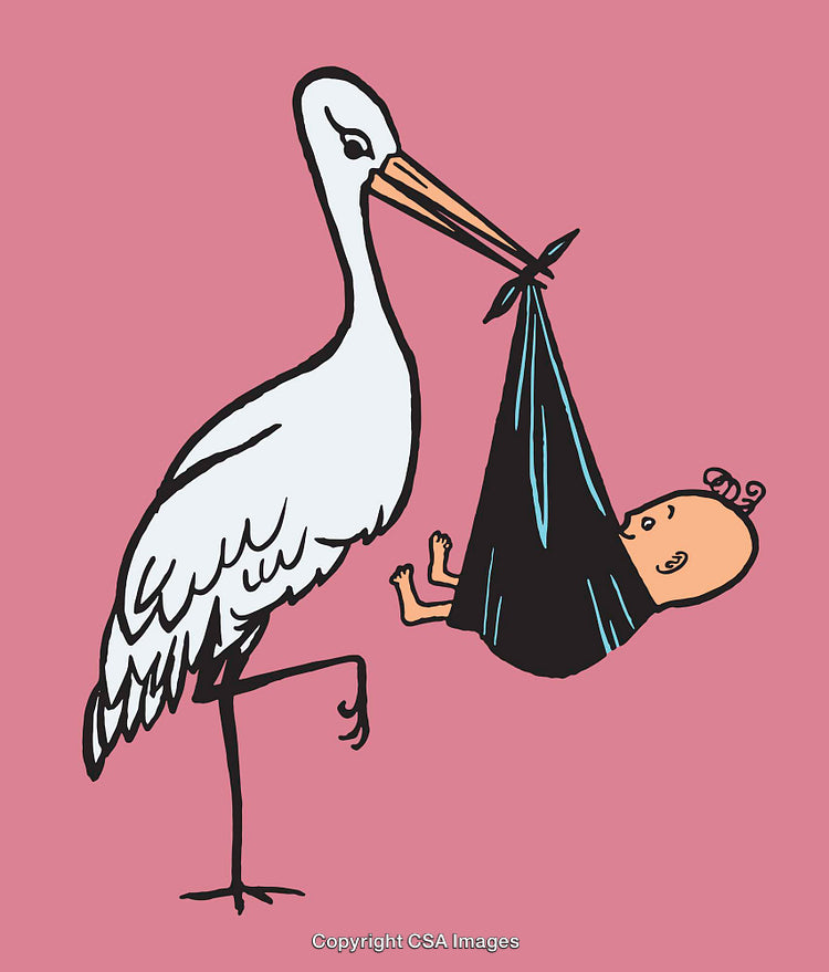 Illustration of a Stork Carrying a Newborn Baby in a Blanket