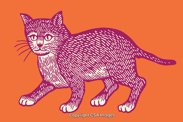 Colorful Line Art Illustration of a Cat with Vibrant Colors