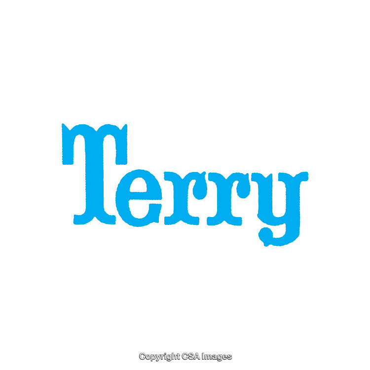 Bright Blue Text Illustration Featuring the Name 'Terry' in Bold Font