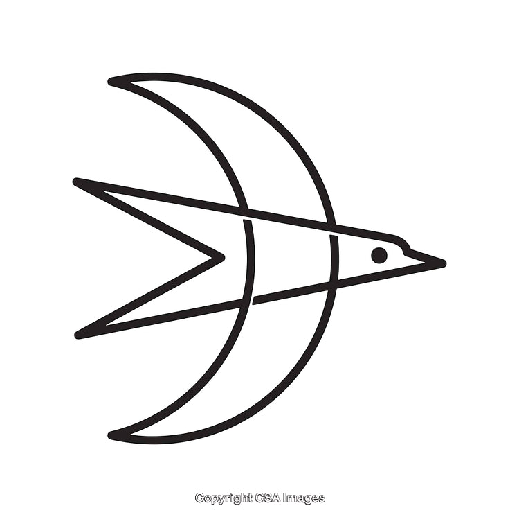 Minimalist Line Art Illustration Featuring a Bird and Crescent Moon