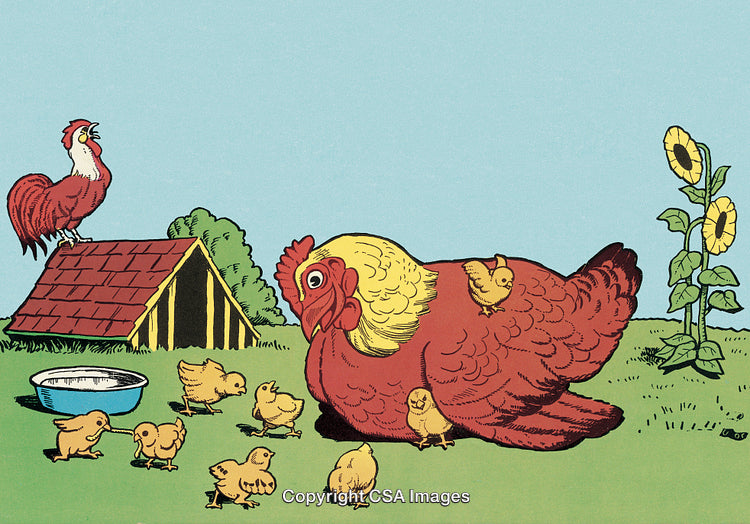 Farmyard Scene with Hen, Chicks, Rooster, and Sunflowers in a Vibrant Illustration