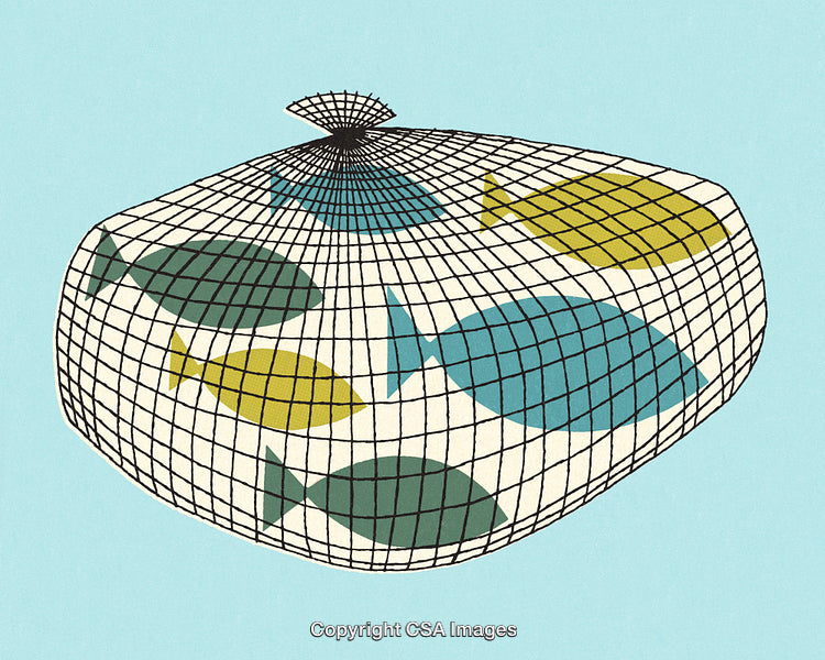 Illustration of Stylized Fish Captured in Net Against Blue Background