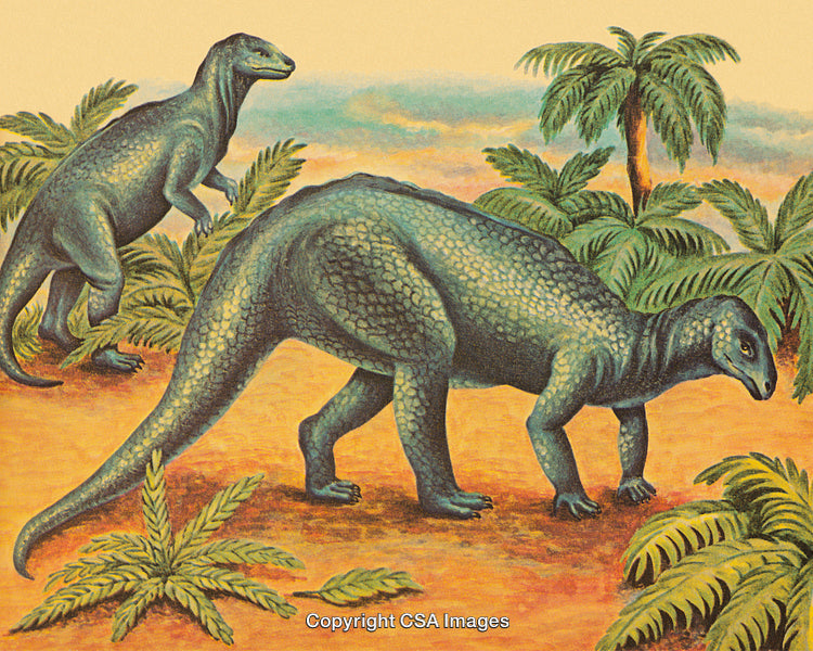 Illustration of Dinosaurs in Lush Prehistoric jungle Landscape Environment