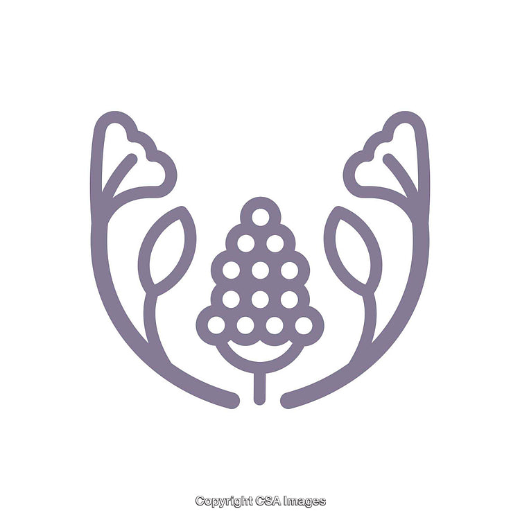 Elegant Outline of Botanical Design with Floral and Leaf Motif Elements