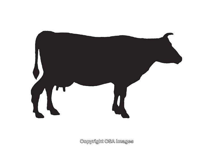 Black Silhouette of a Cow with a White Background