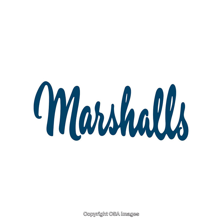 Elegant Blue Script Logo Text on a Clean White Background