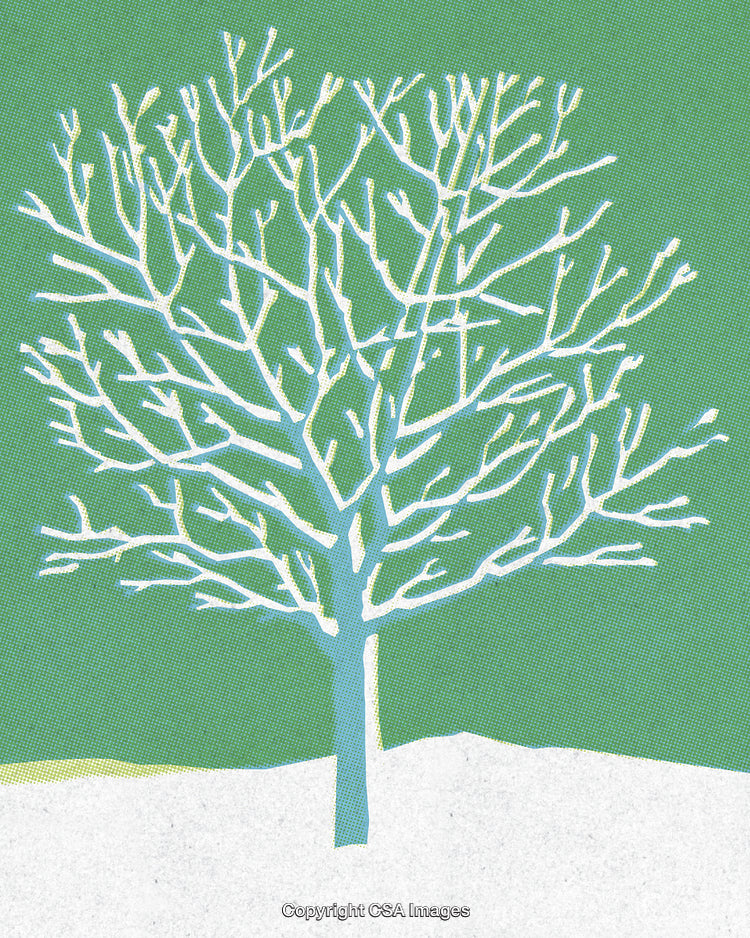 Illustration of a Bare Winter Tree in a Snowy Landscape