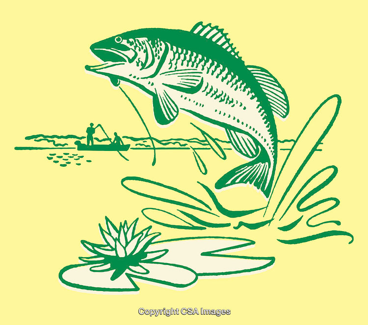 Color Illustration of a Leaping Fish with Fishing Scene and Lake Vegetation