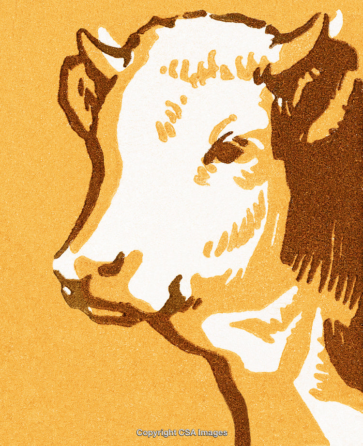 Illustrated Silhouette of a Bull on a Textured Background with Minimalist Details