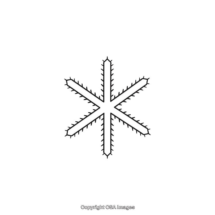 Minimal Black and White Snowflake-Shaped Dingbat Illustration on White Background