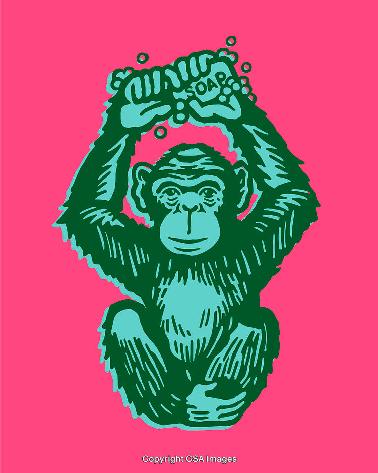 Colorful Line Art of Monkey Holding Soap with Vibrant Pink Background