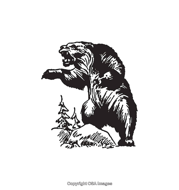 Black and White Line Art of a Bear in Nature Setting