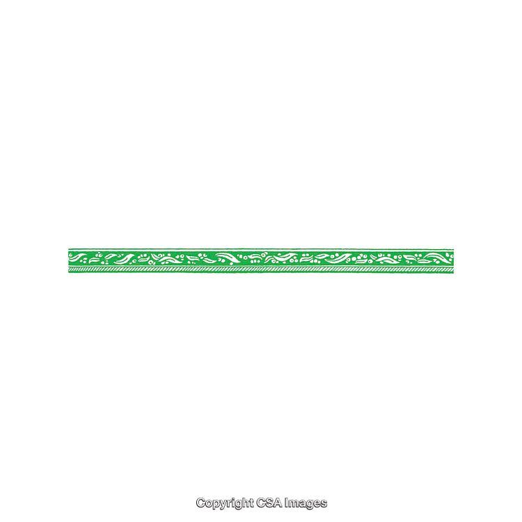 Green Decorative Border With Patterned Design on a White Background
