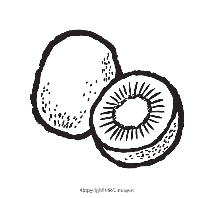 Black and White Line Art Illustration of a Fresh Kiwi Fruit