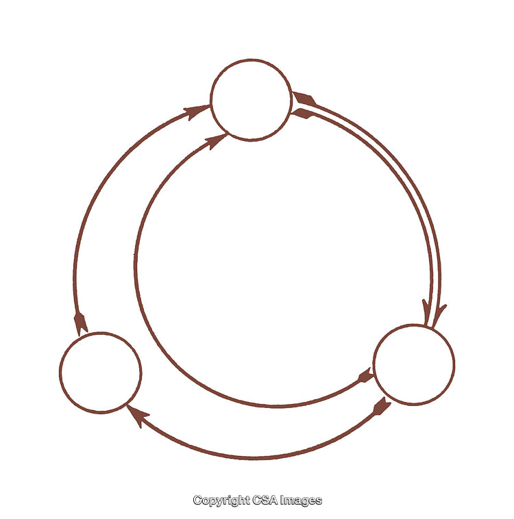 Circular Diagram with Interconnected Nodes and Arrows in Minimalist Style