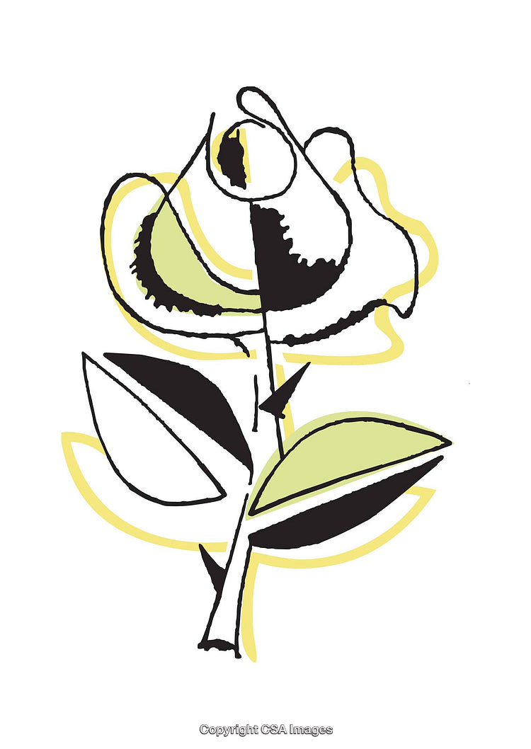 Stylized Artwork of a Yellow and Black Rose Illustration