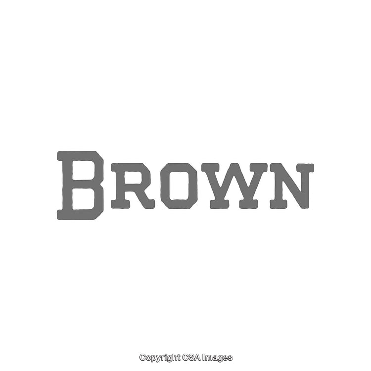 Stylized Gray Text Depicting the Word Brown in Bold Typeface