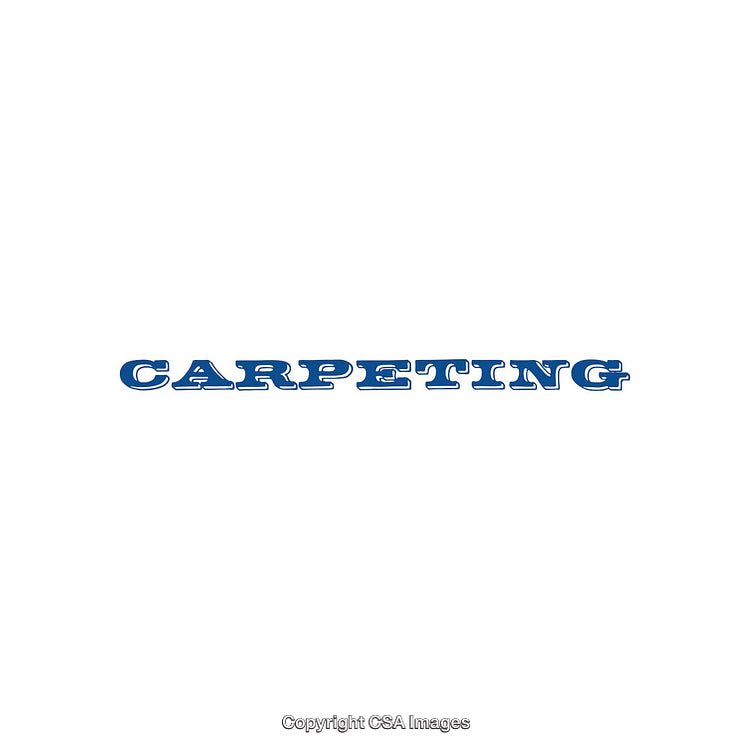 Blue Text Depicting the Word Carpeting on a White Background
