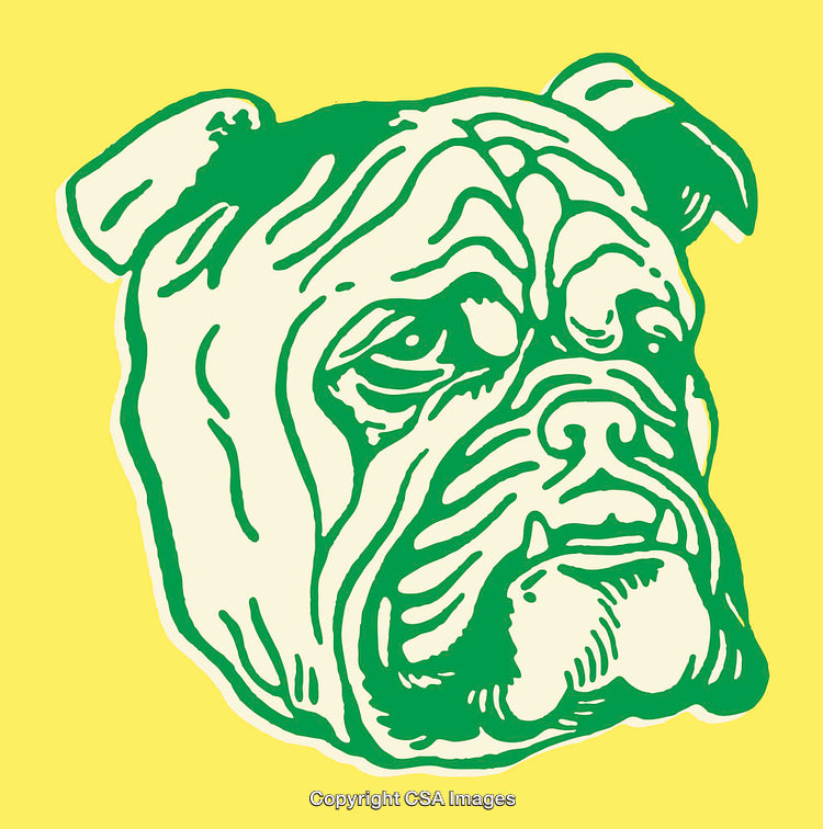 Colorful Green Line Art Illustration of a Bulldog on a Yellow Background