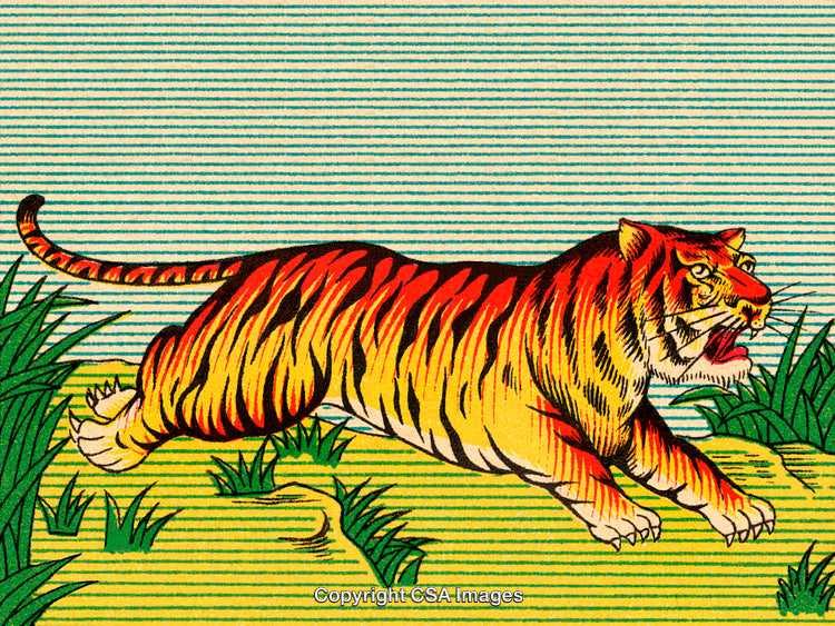 Vintage Illustration of a Vibrant Tiger in a Lush Natural Scene