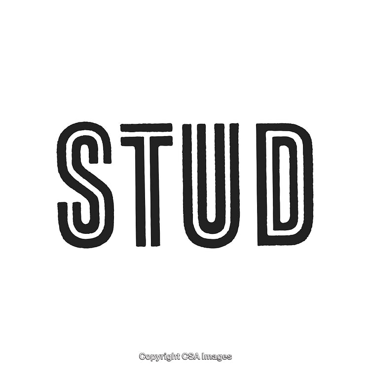 Bold Lettering Design Featuring the Word 'Stud' in Black and White