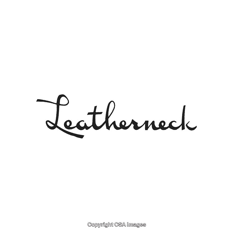 Elegant Handwriting of the Word Leatherneck on White Background