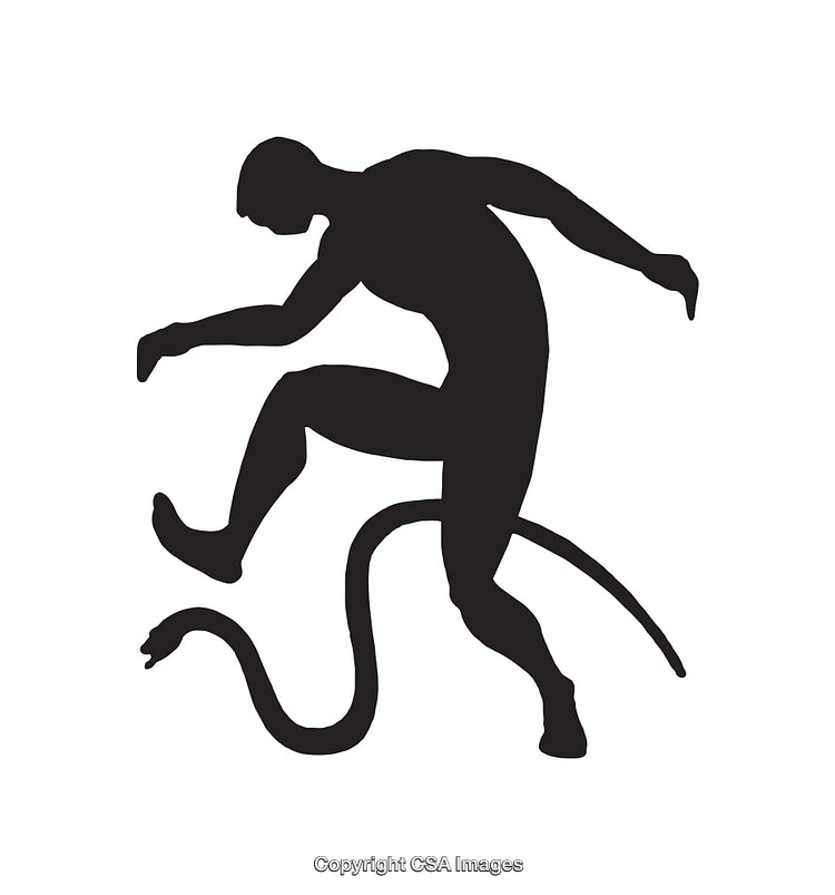 Silhouette of a Person Stepping on a Snake in Dynamic Composition