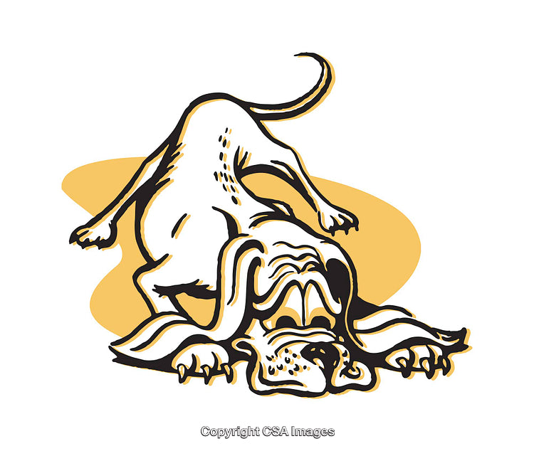 Playful Illustration of a Droopy-Eyed Dog in a Cartoon Style