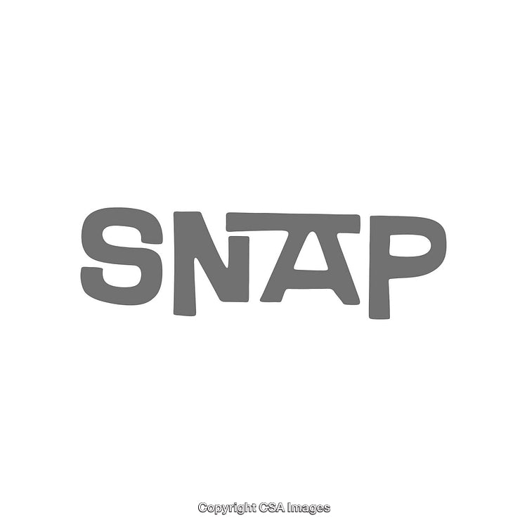 Creative Monochrome Logo Design Featuring the Word Snap in Custom Typography