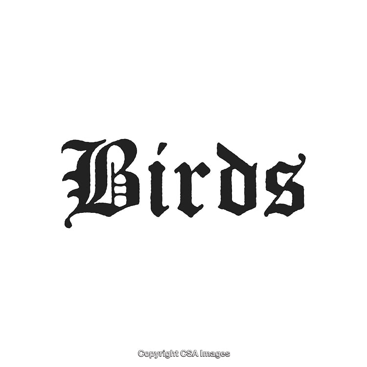 Gothic Style Typography Depicting the Word Birds with Artistic Flair