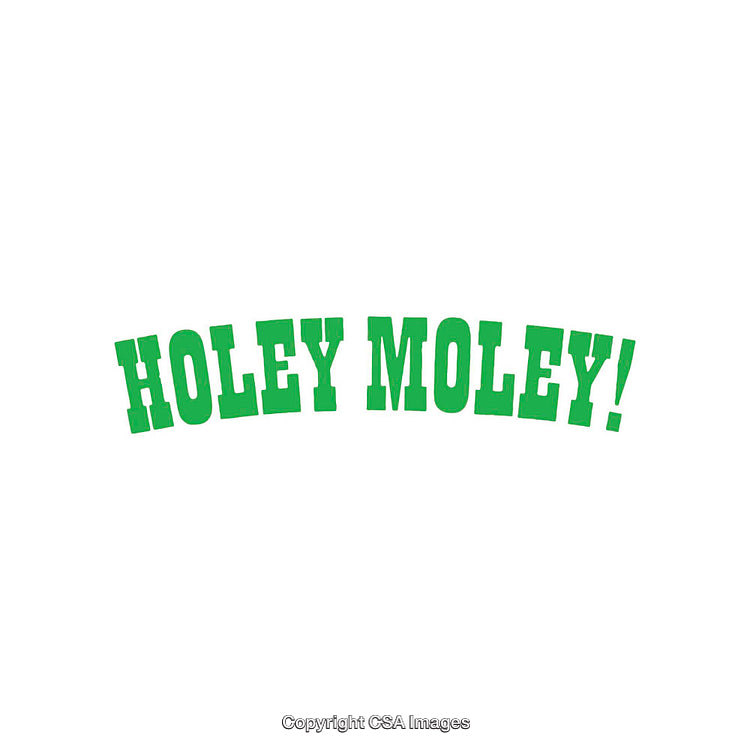 Creative Green Typographic Design Featuring 'Holey Moley' Exclamation