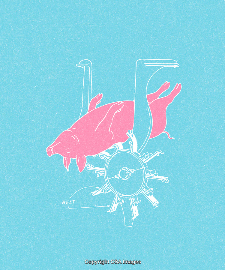 Illustrative Diagram of a Pig Mechanism Rendered in Minimalist Pink and Blue Colors