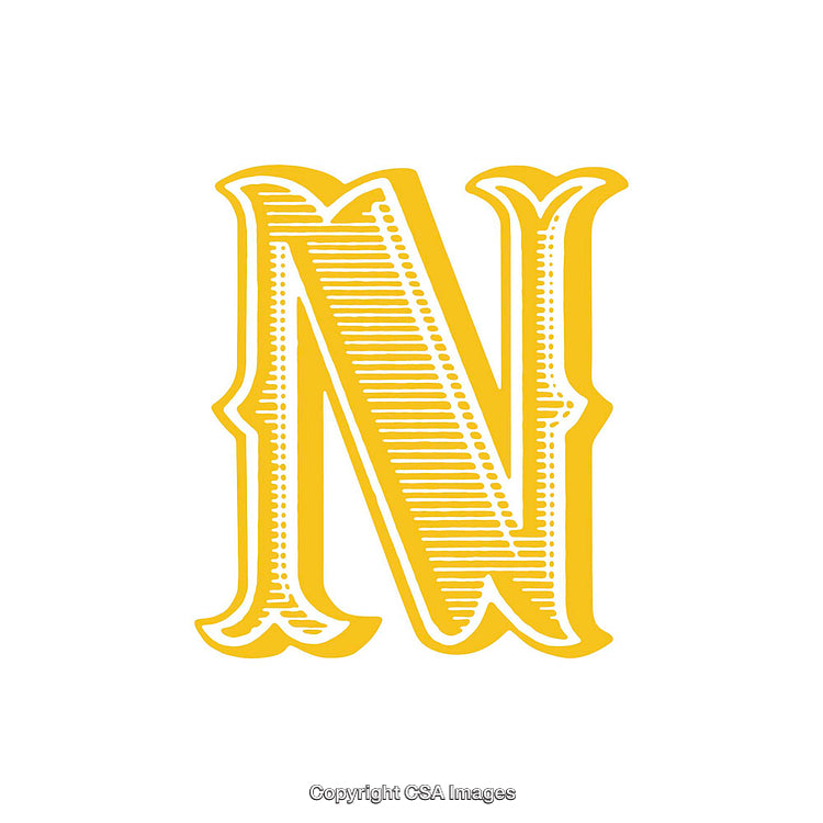 Elegant Yellow Ornate Letter N on White Background