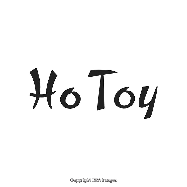Stylish Artistic Font Showcasing the Words 'Ho Toy' on White Background