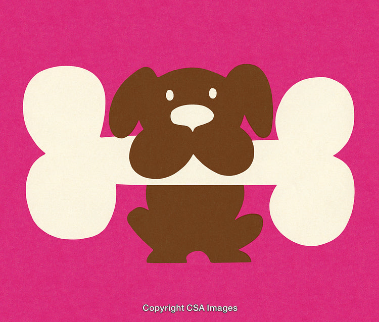 Illustration of a Dog With a Bone on a Bright Pink Background