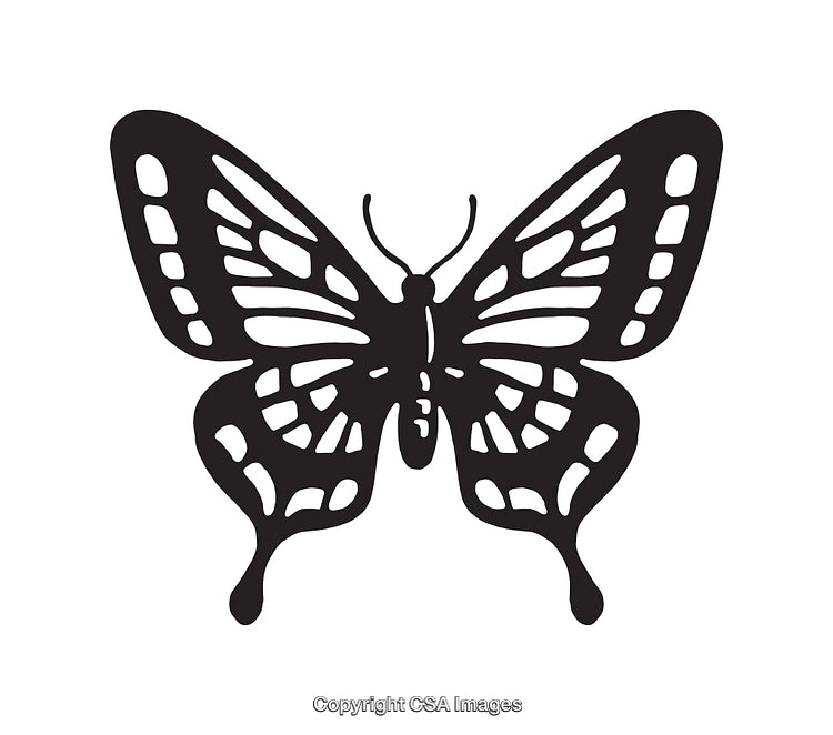 Monochromatic Line Art Illustration of a Detailed Butterfly Silhouette
