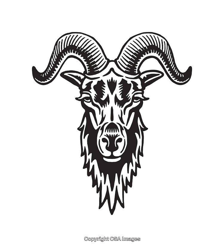 Black And White Line Art Illustration of a Majestic Ram's Head