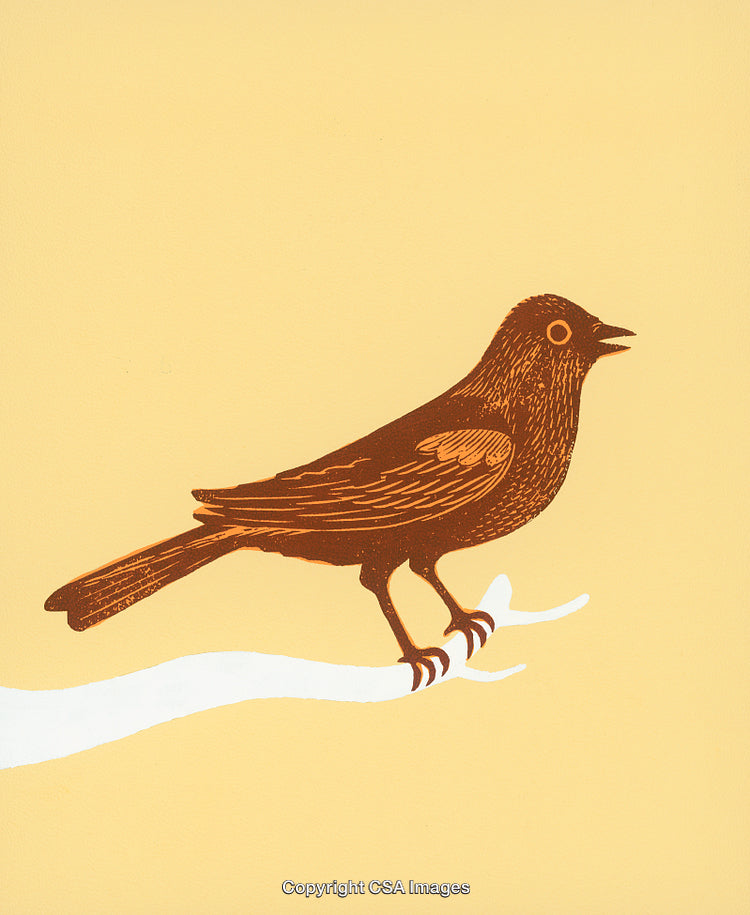 Illustrated Brown Bird on a White Branch With Yellow Background