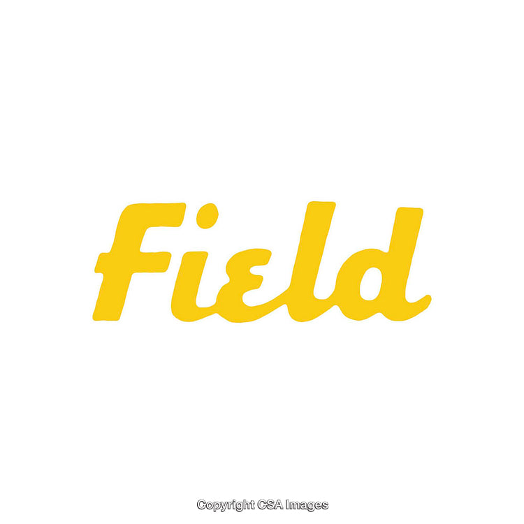 Bold Yellow 'Field' Wordmark on a Minimal White Background