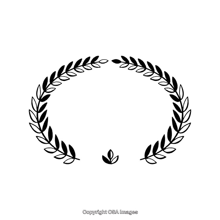 Elegant Black and White Laurel Wreath Border on White Background