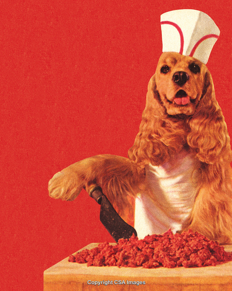 Funny Dog Chef Preparing Meat With a Knife on a Red Background