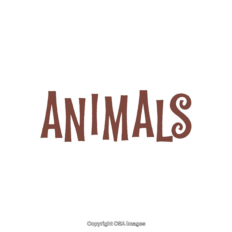 Stylish Artistic Word Art Featuring the Text Animals on White Background