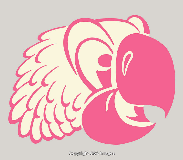 Stylized Color Line Art Illustration of a Bird