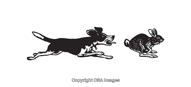Black and White Line Art of Dog Chasing a Rabbit