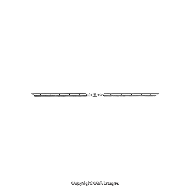 Elegant Thin Black Linear Decorative Frame Divider with Intricate Design