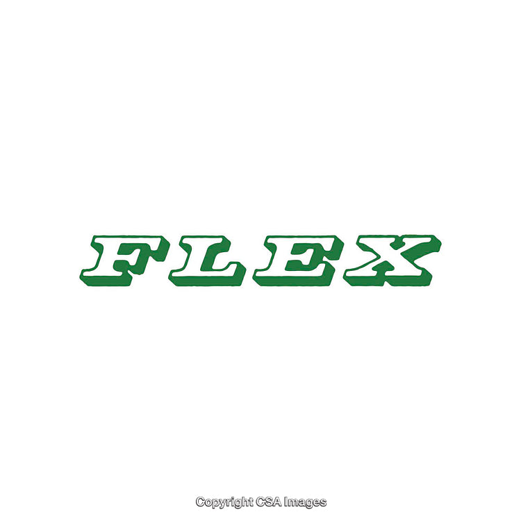Bold and Modern Green Text Reading 'Flex' on a White Background