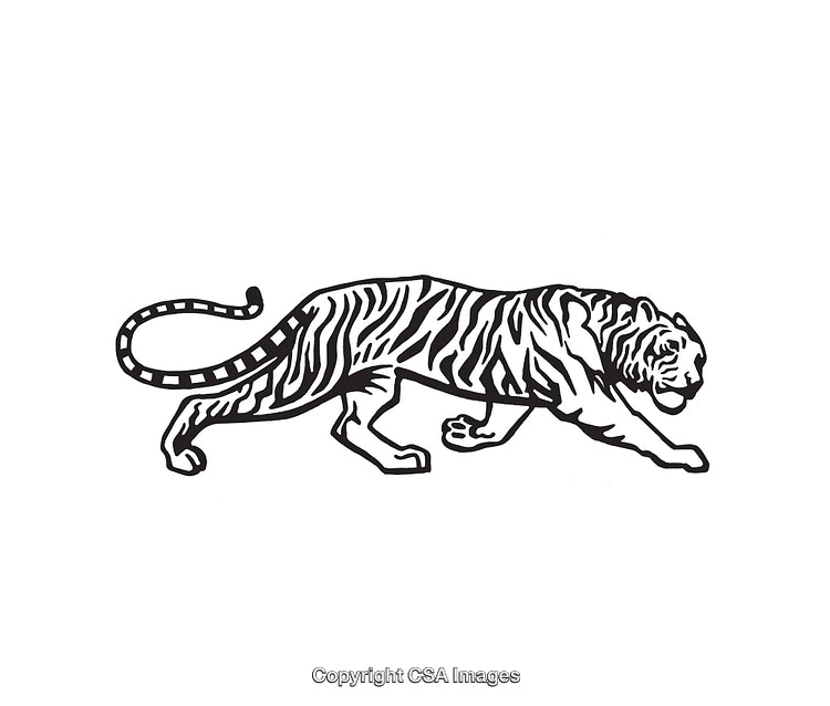 Black And White Line Art Illustration of a Tiger in Motion