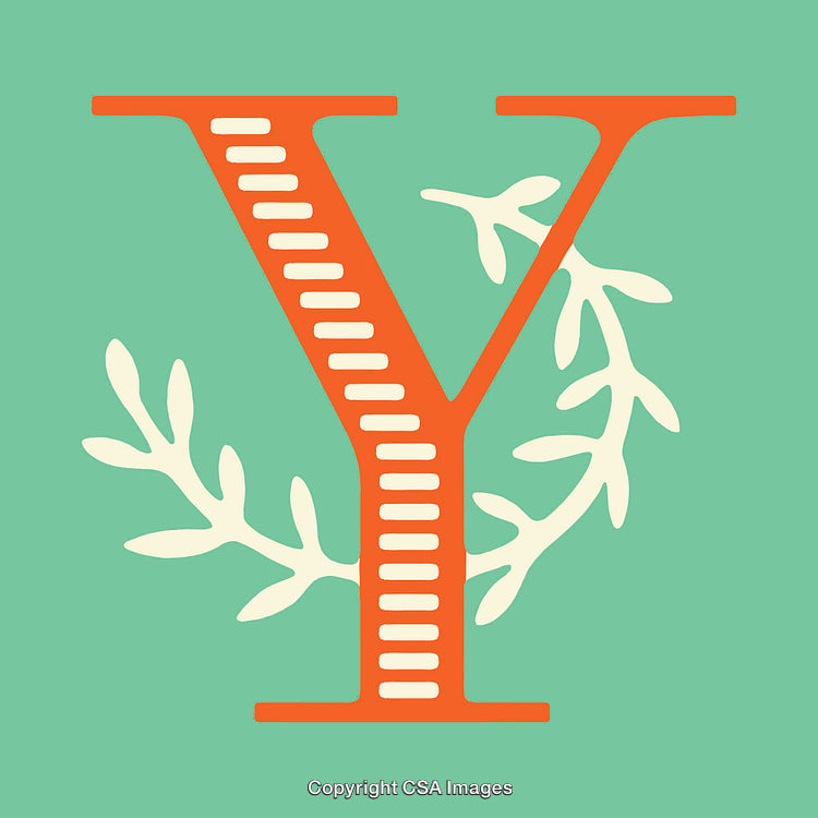 Stylized Decorative Letter Y with Floral Elements on Green Background